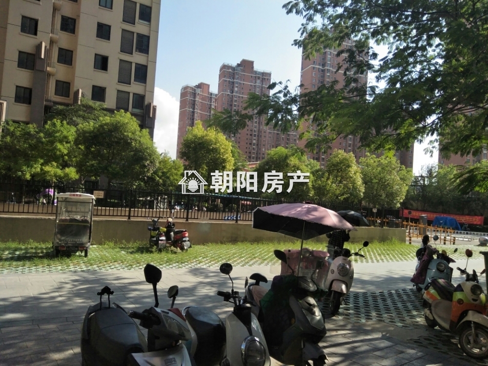 金地国际城二期 42平 一室一厅 毛坯出租 交通便利 学区房