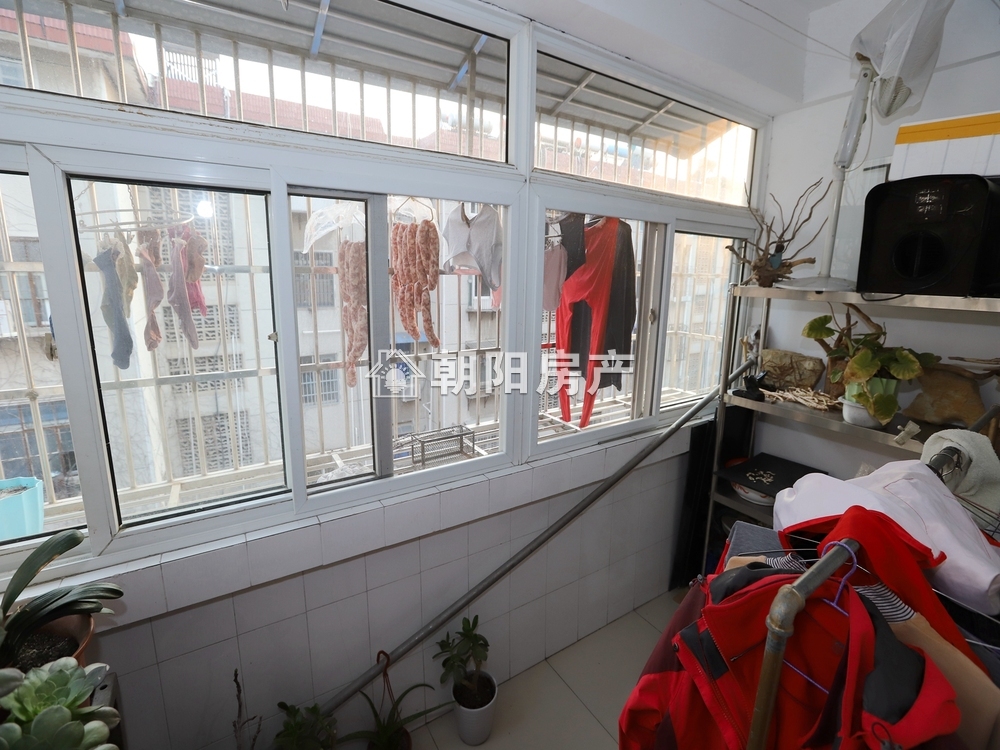 园丁小区 78平 南向两居 满五唯一 学区房 交通便利