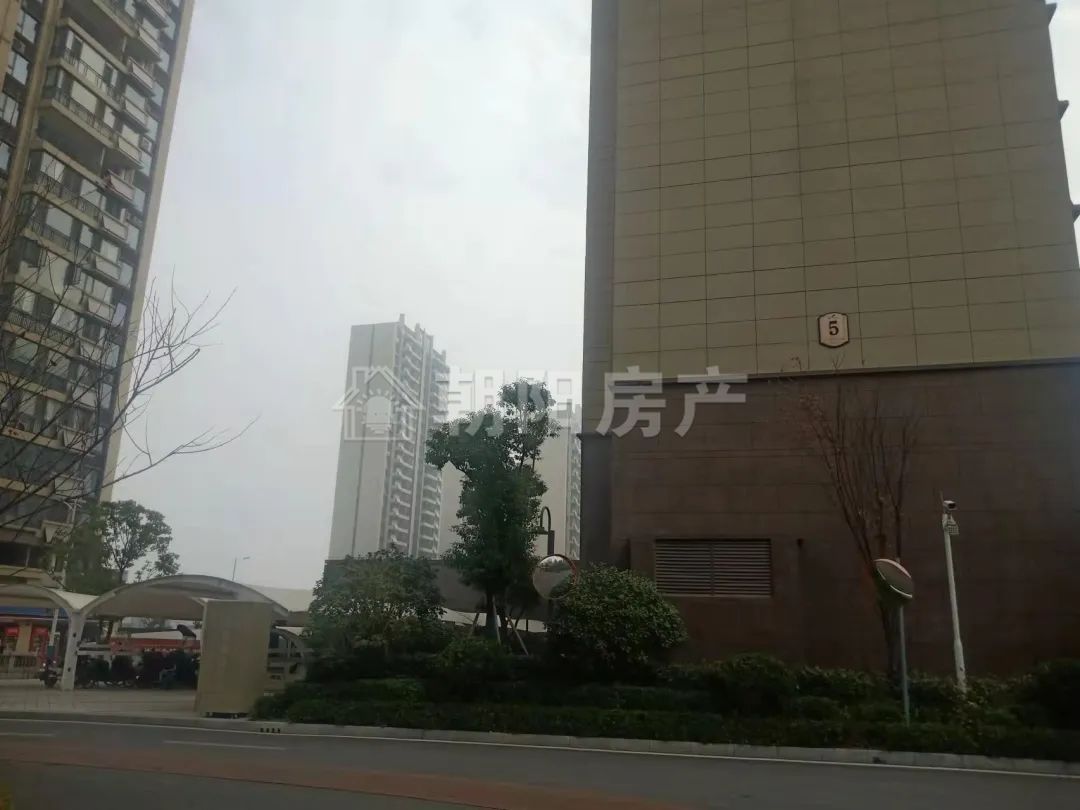 凤台碧桂园西区 142平 四室两厅 精装 交通便利 学区房