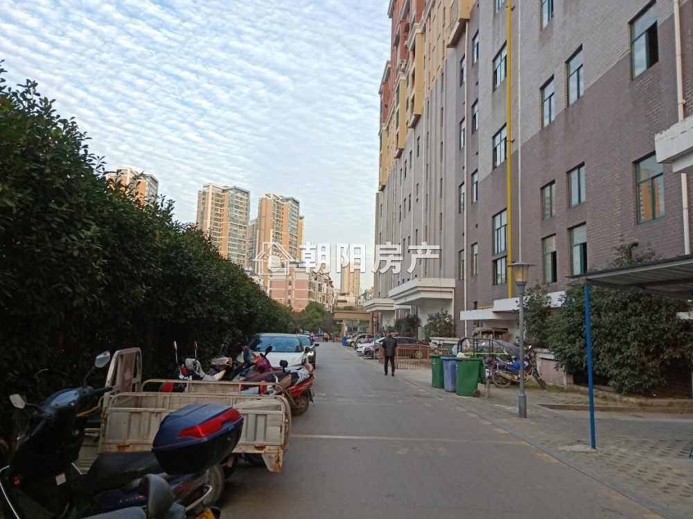 中环国际广场仕府 85平 南向两室 学区房 交通便利 随时看房