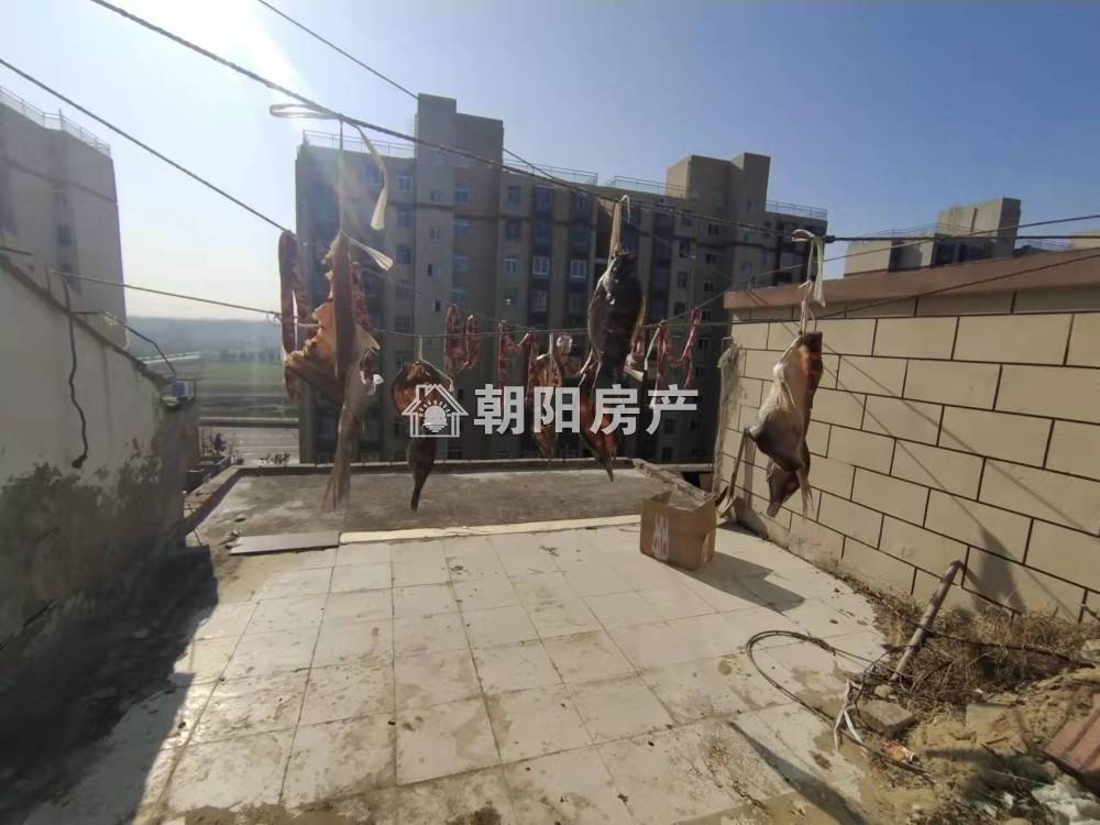 玉兰苑 100平 南向精装三室 交通便利 随时看房