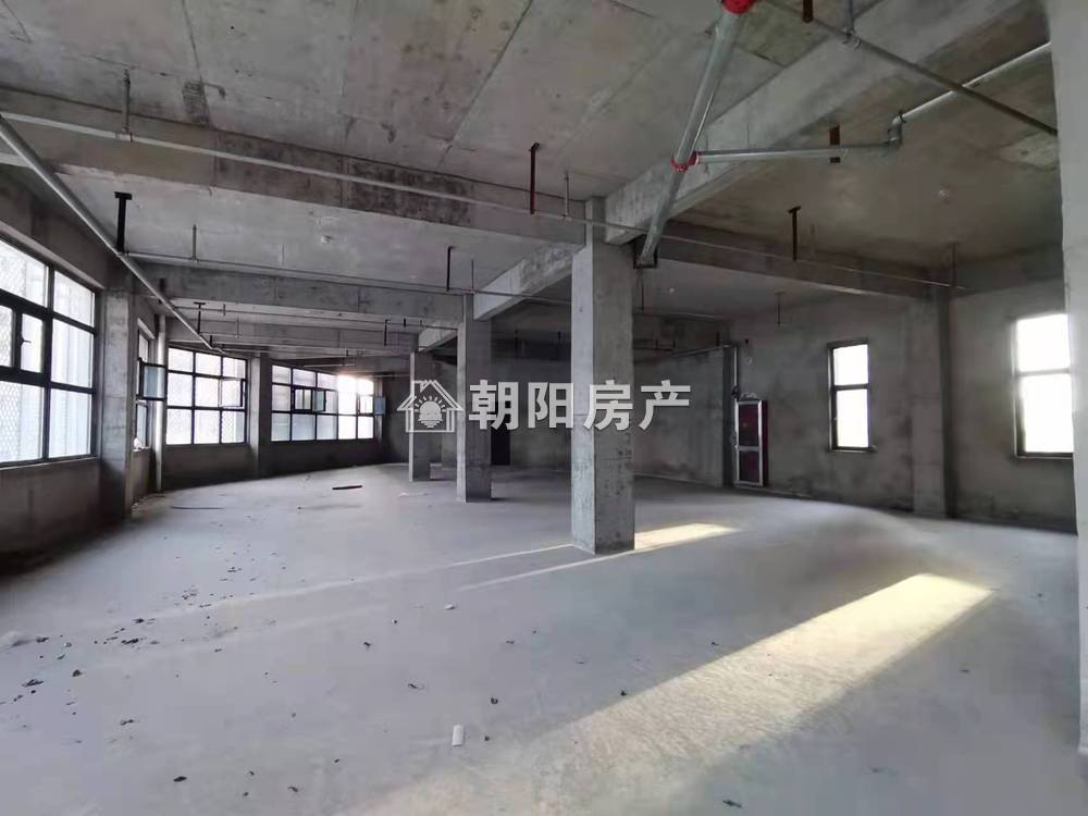 网云小镇二期 91平 临街旺铺 优质地段 人流密集