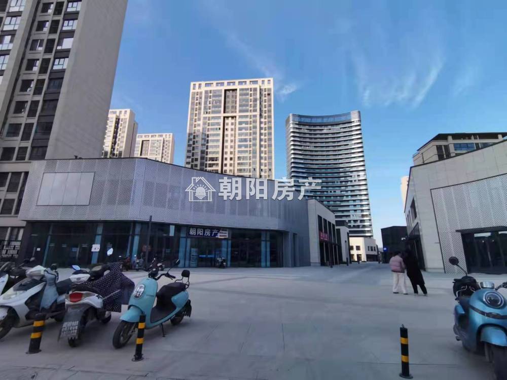 网云小镇二期 91平 临街旺铺 优质地段 人流密集