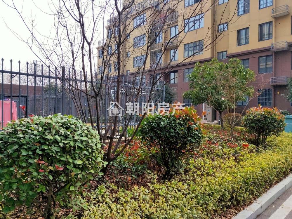 东城国际 133平 南向三室 2701元/平 毛坯多层