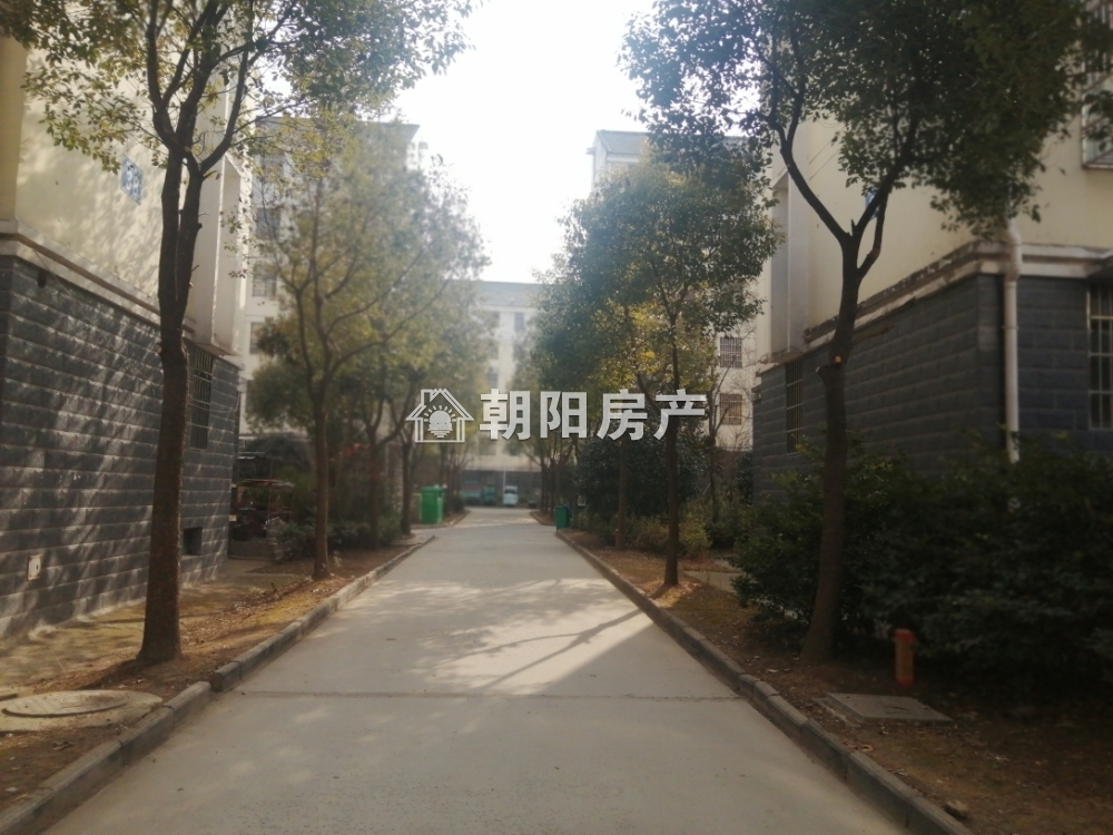 香樟苑四期 145平 三室二厅 单价仅1997元 交通便利随时看房