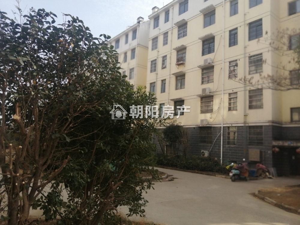 香樟苑四期 145平 三室二厅 单价仅1997元 交通便利随时看房