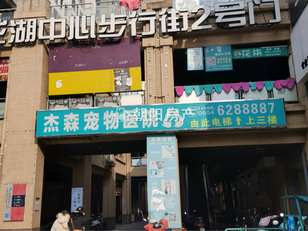 龙湖中心 38平 临街旺铺人流密集 优质地段