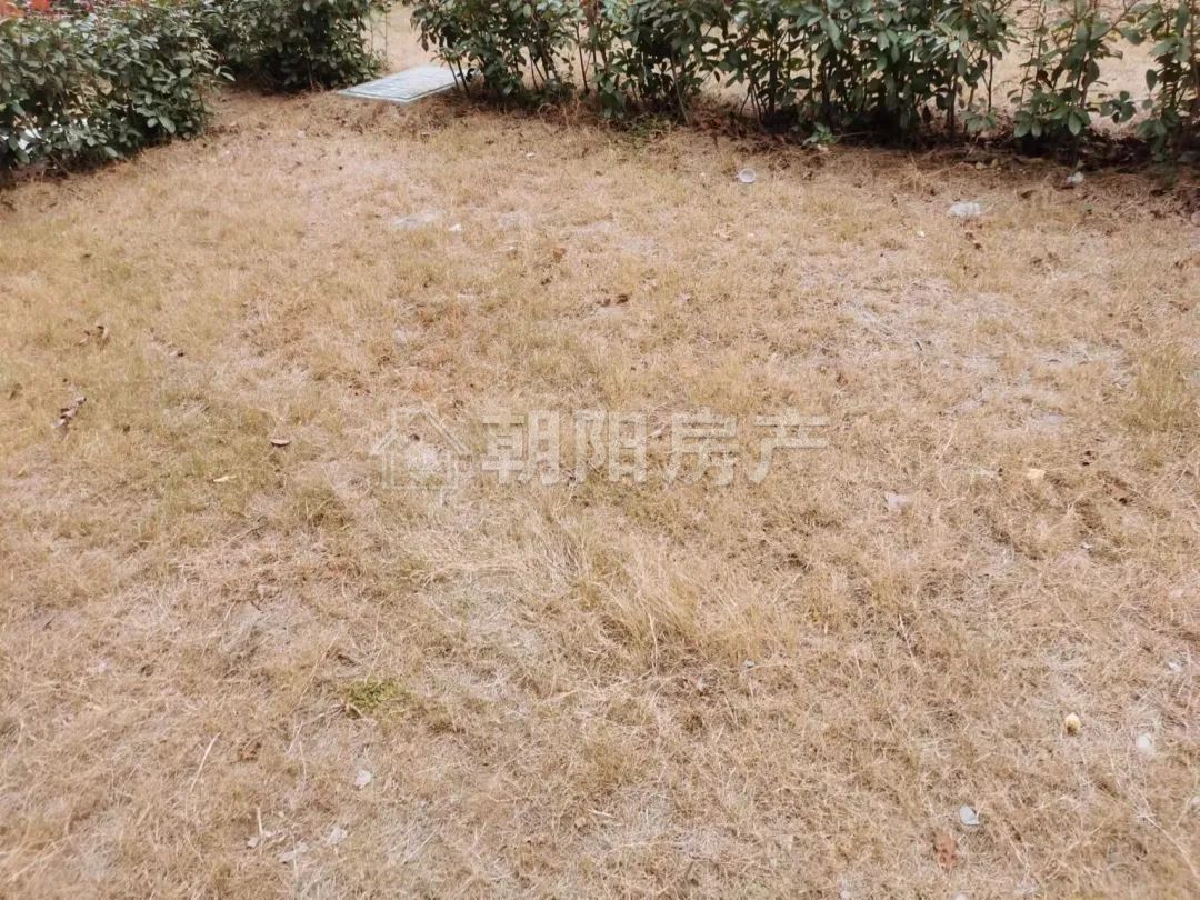 顺景天城逸园 116平 南向三室毛坯 单价6272元 随时看房