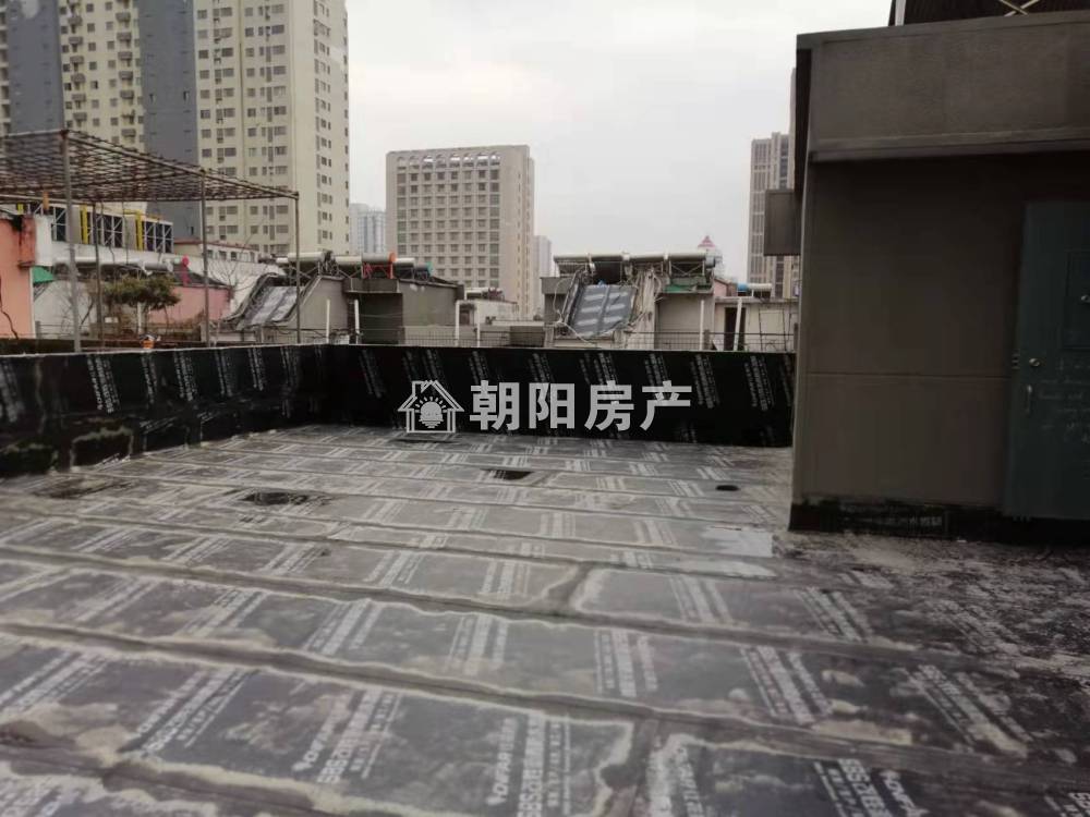 梅园小区 157平 朝南四室 满五唯一 学区房