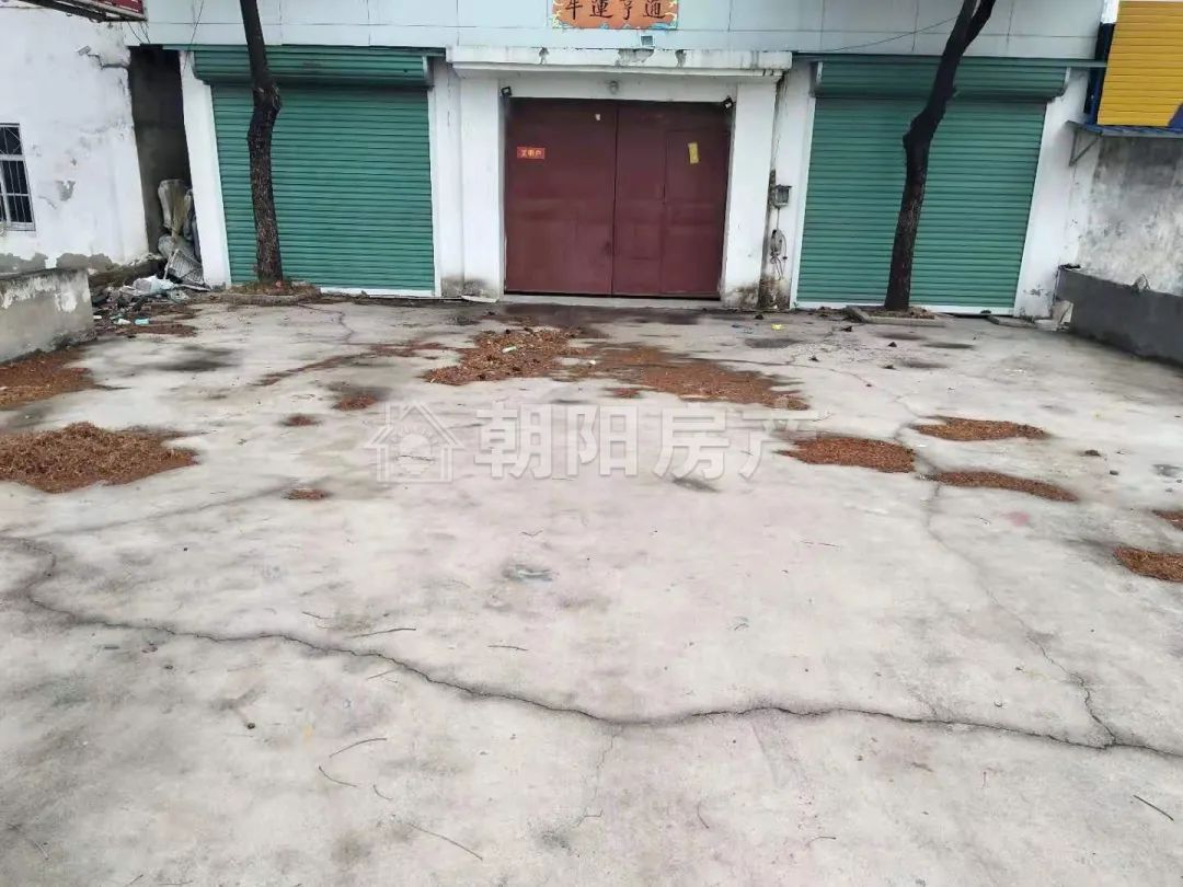 陈郢 400平 南向大铺面 简装 交通要塞