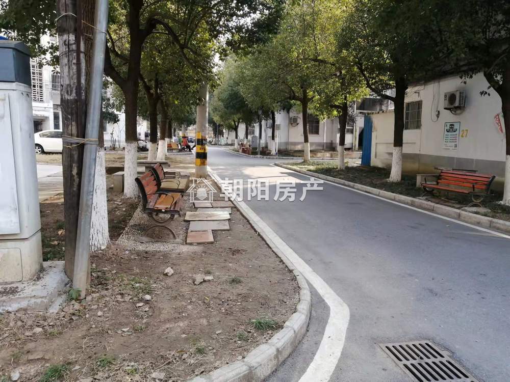 桂苑西区 50平 朝南两室一厅 满五唯一 简装