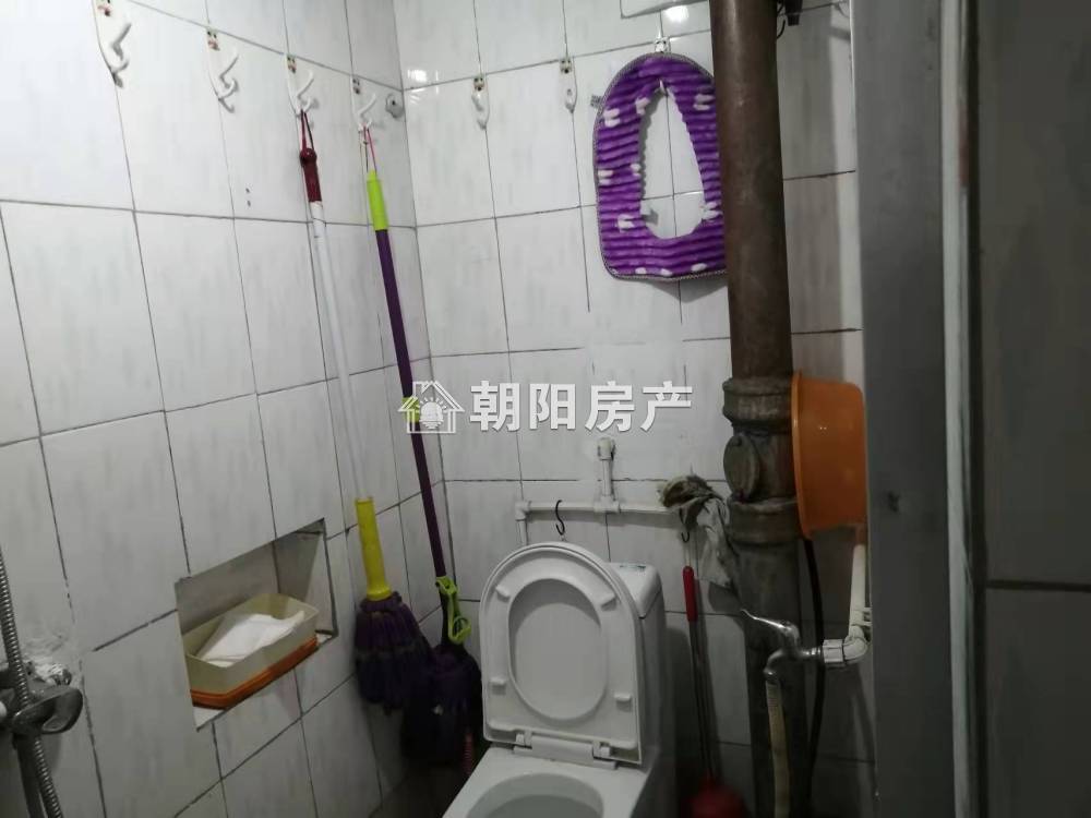 桂苑西区 50平 朝南两室一厅 满五唯一 简装
