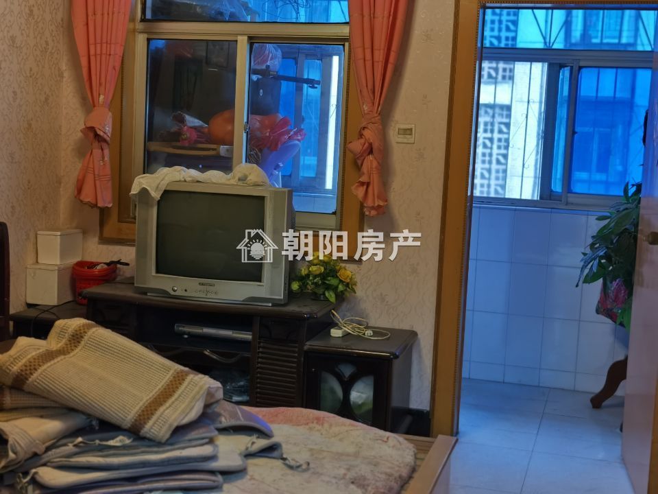 新社四村 60平 南向两居 学区房 采光好