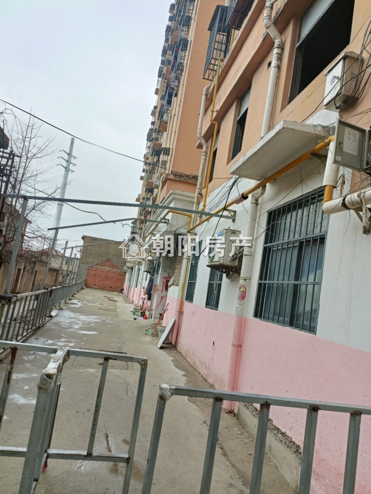 滨河小区 110平 南向两居 采光好 随时看房