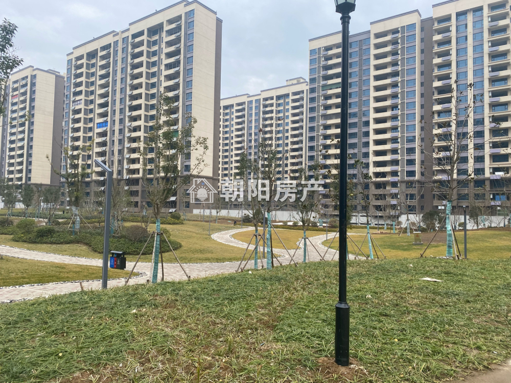 安理家园 162平 四室两厅南北通透 精装 学区房 交通便利