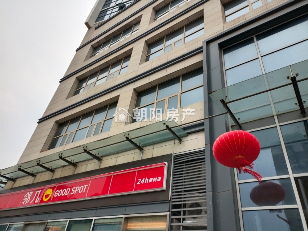 中环国际广场荣府 45平 南向一居 学区房 随时看房