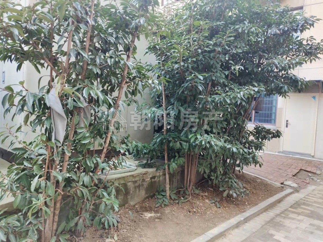 紫金苑 103平 南向三居 满两年 学区房