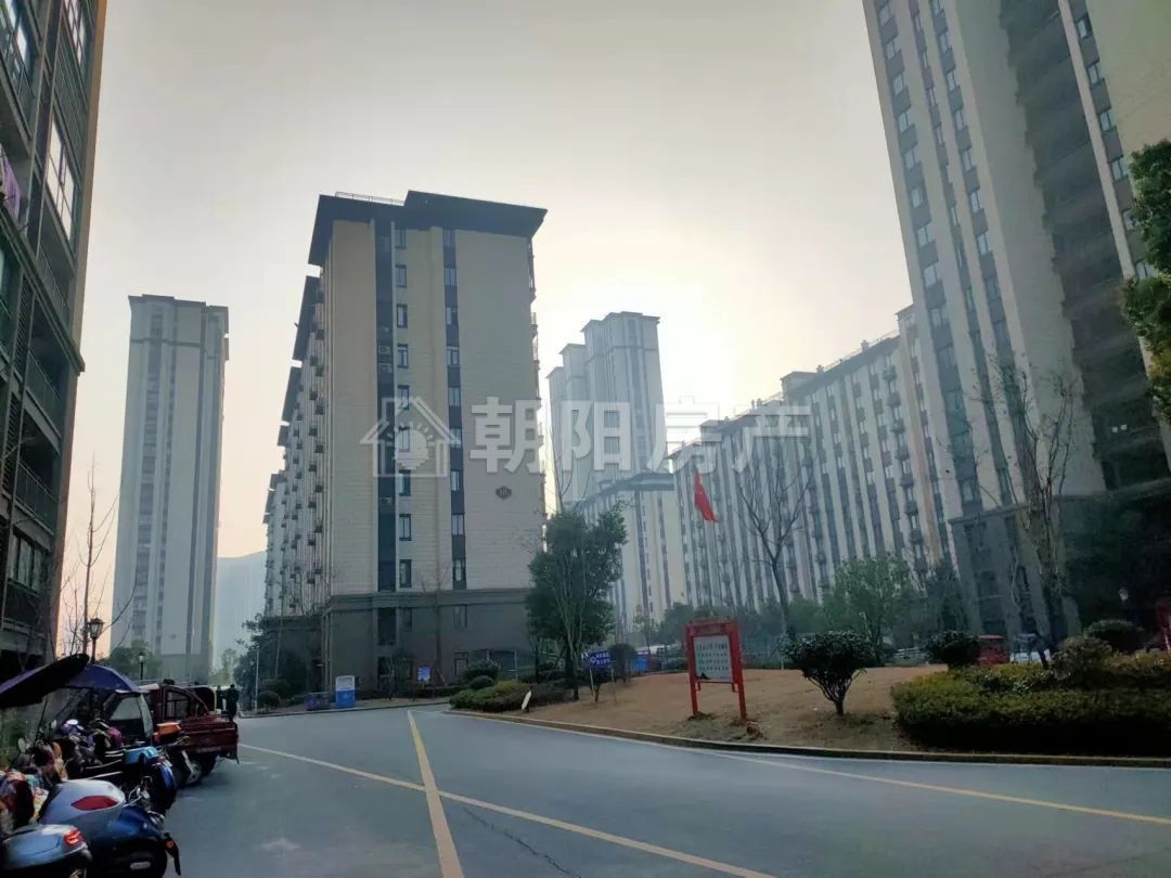 御景学府 116平 南向三居 采光好 免税 随时看房