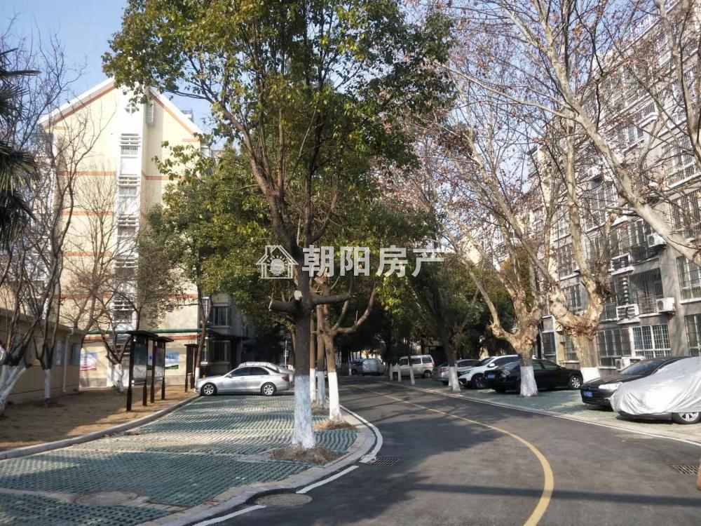柏园南村教师楼 192平 南向五室精装 满两年 交通便利