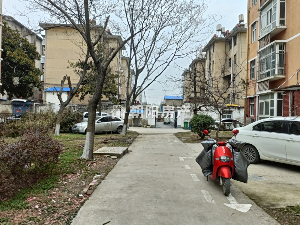 谢一小综合楼 75平 南向两室 交通便利 随时看房