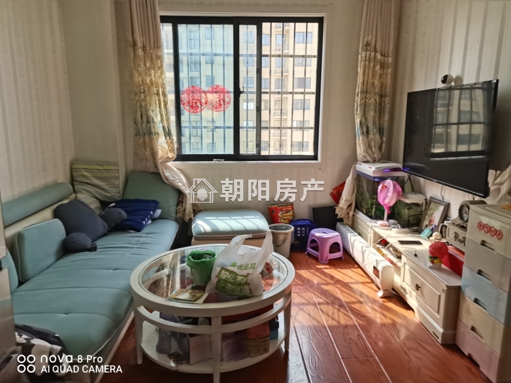 中央美域 65平 朝南精装两居 满两年 交通便利 学区房