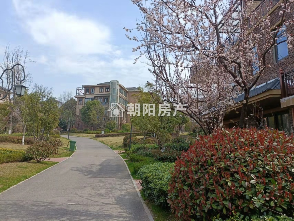 泉山湖龙湾上叠别墅4室2厅毛坯房急售