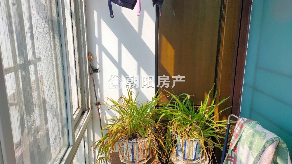 建西村 131平 南向精装三室 满五唯一 2733元/平