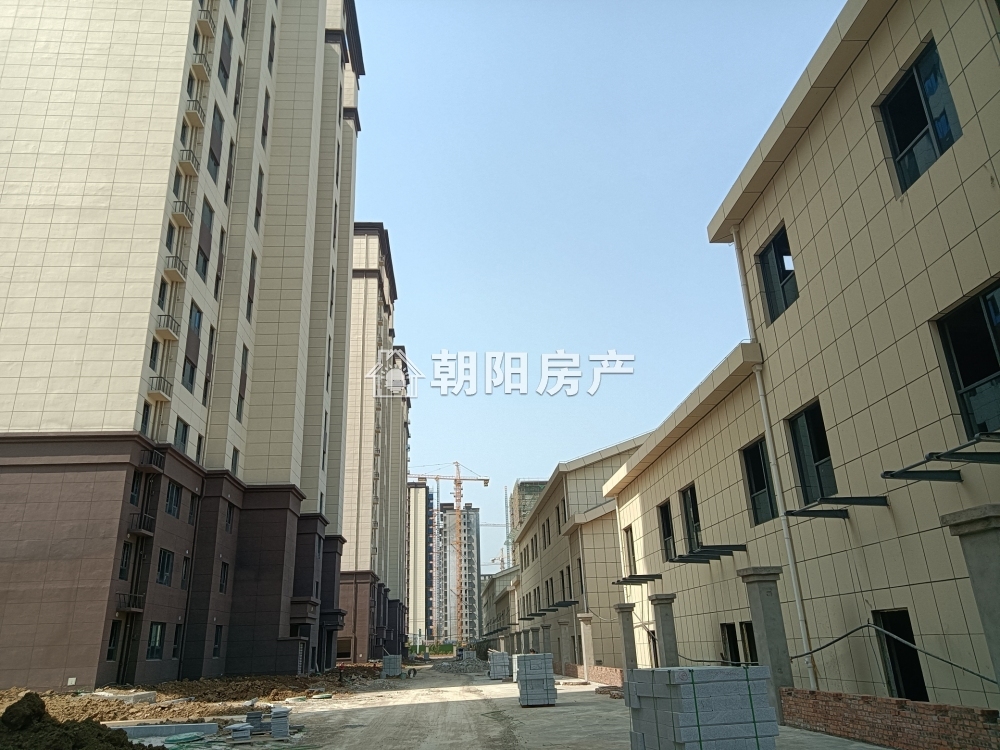 循理新嘉园 114平 南向三室 满两年 交通便利