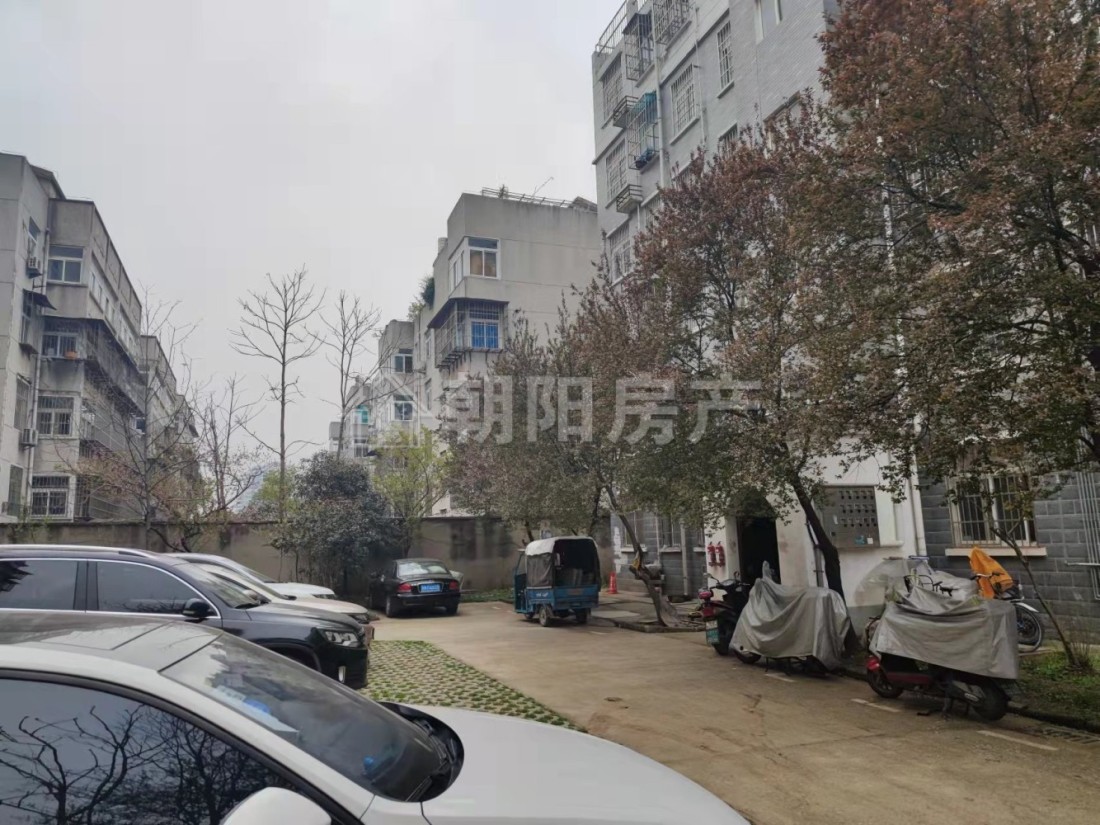 桂园小区 94平 精装南向三室 满两年 采光好