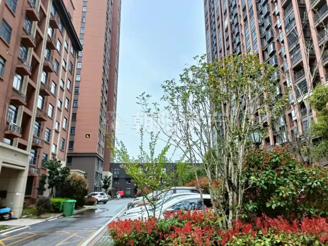 金大地悦府 110平 南向三居 满两年 交通便利 学区房