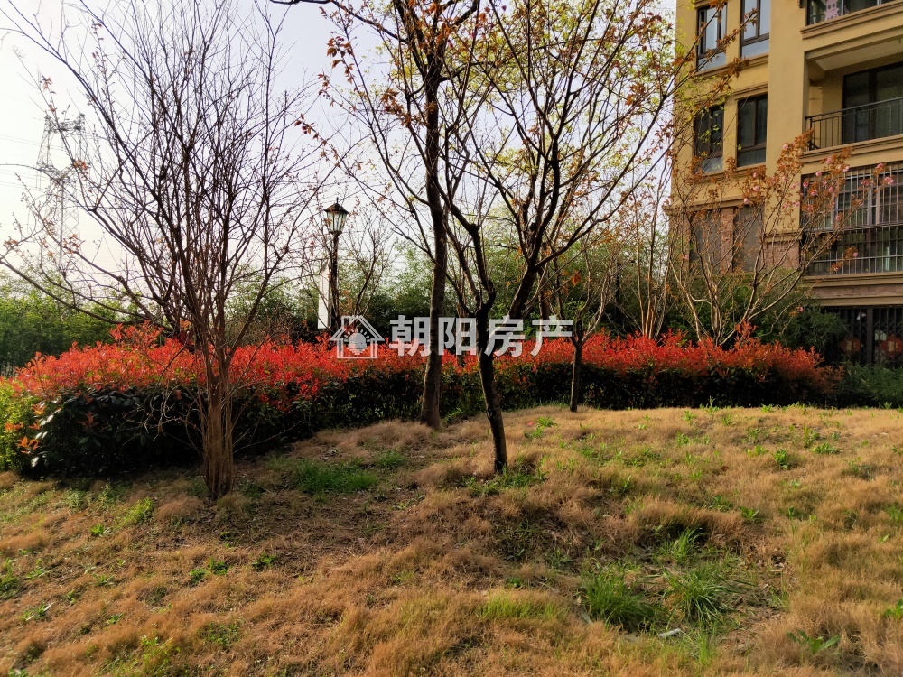 顺发泽润园二期 88平 南向三居 环境好 毛坯