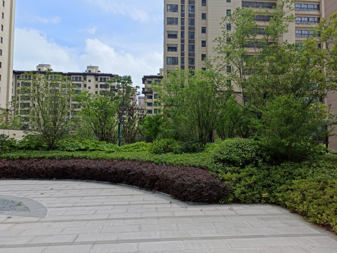 文一千树湾 84平 南向三居 学区房 交通便利 独家房源_9