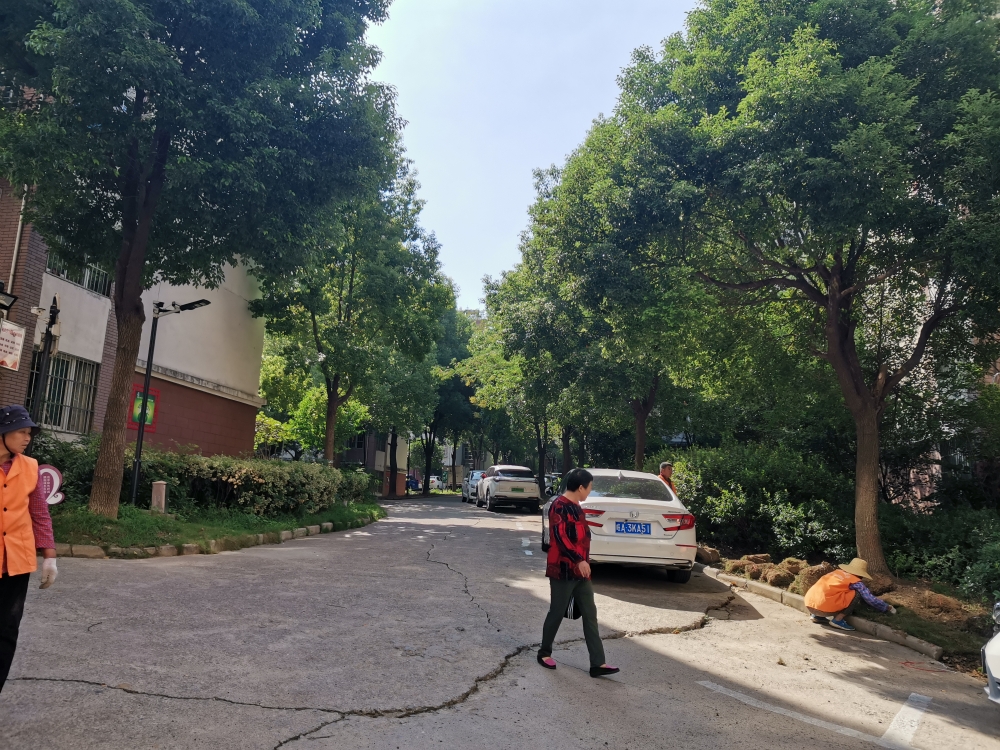 东华鑫城11层电梯房毛坯_10