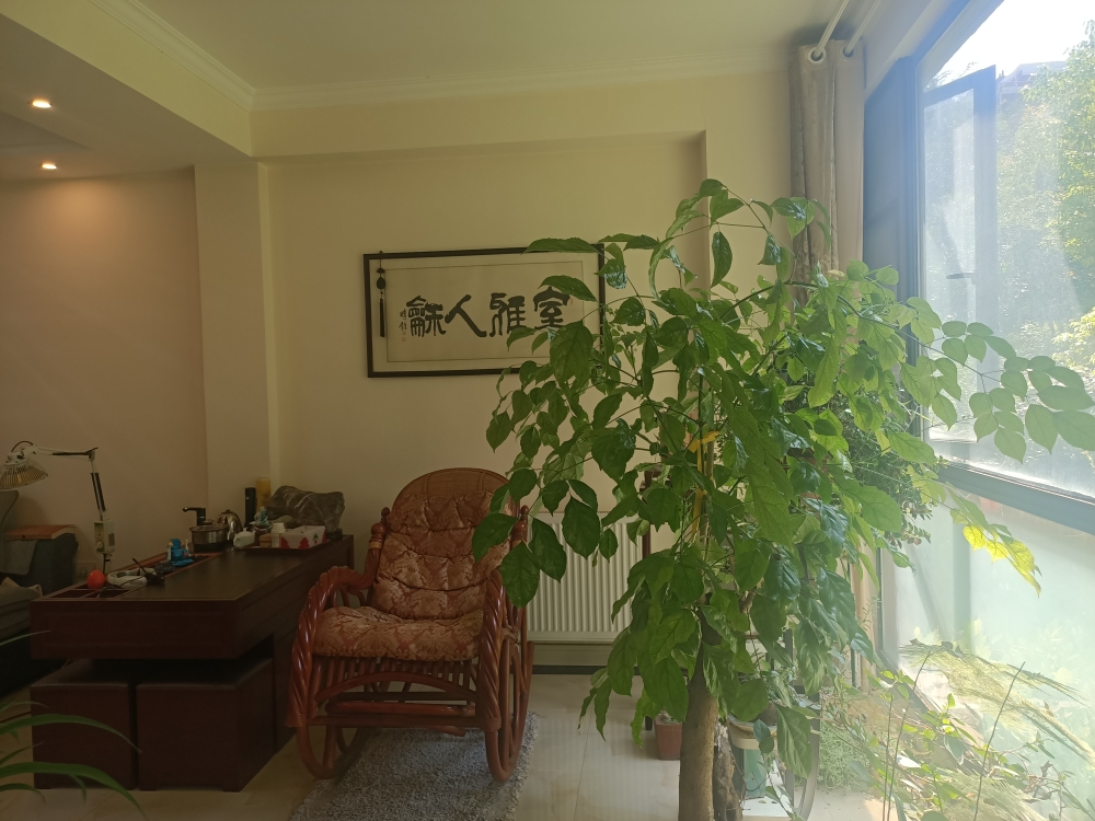 瀚城二期退台洋房 精装修 4室2厅带地下室.花园好房出售_11
