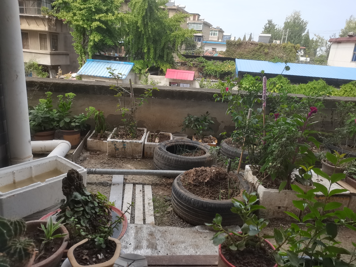 新小区，楼下沿街门面，交通方便精装修拾包入住二层有小院子_9