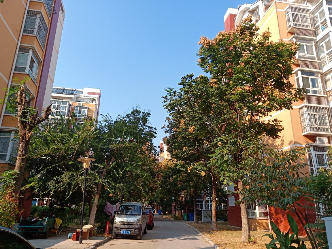 河西小区一期 70平 朝南两室 采光好 环境好 随时看房_11