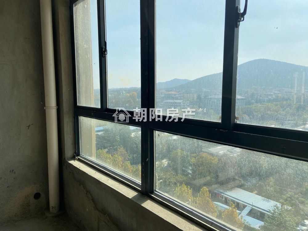 毛坯_7