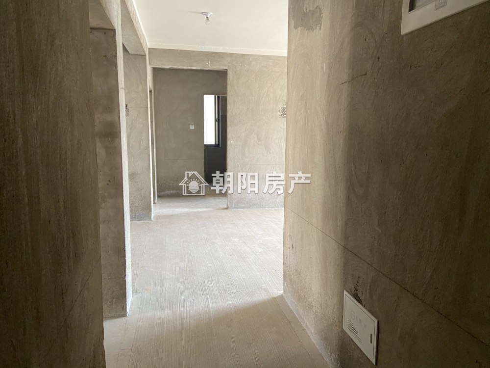 毛坯_5
