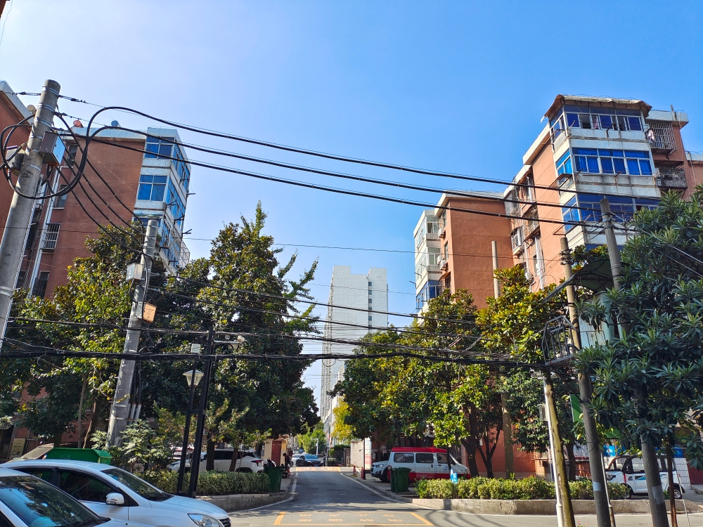 文明小区    大户型  80平方 3室1厅   地势好  采光好 _14