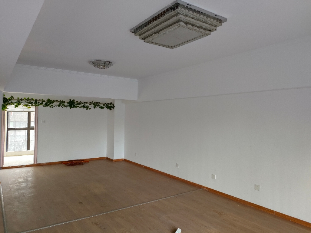 同鑫第一城 41平 朝南低层商铺 紧邻地铁 毛坯交付_5