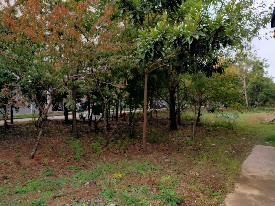 九龙新村   78平毛坯房   诚心出售_13