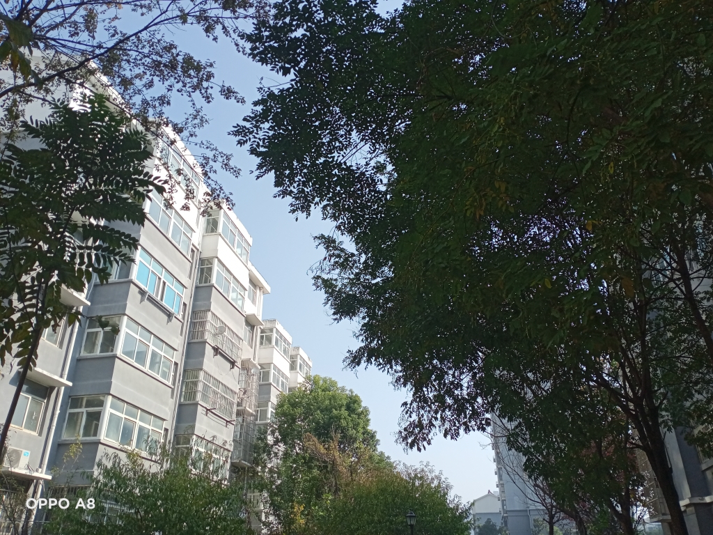 西城嘉园精装三室二厅适合养老离高铁近_9