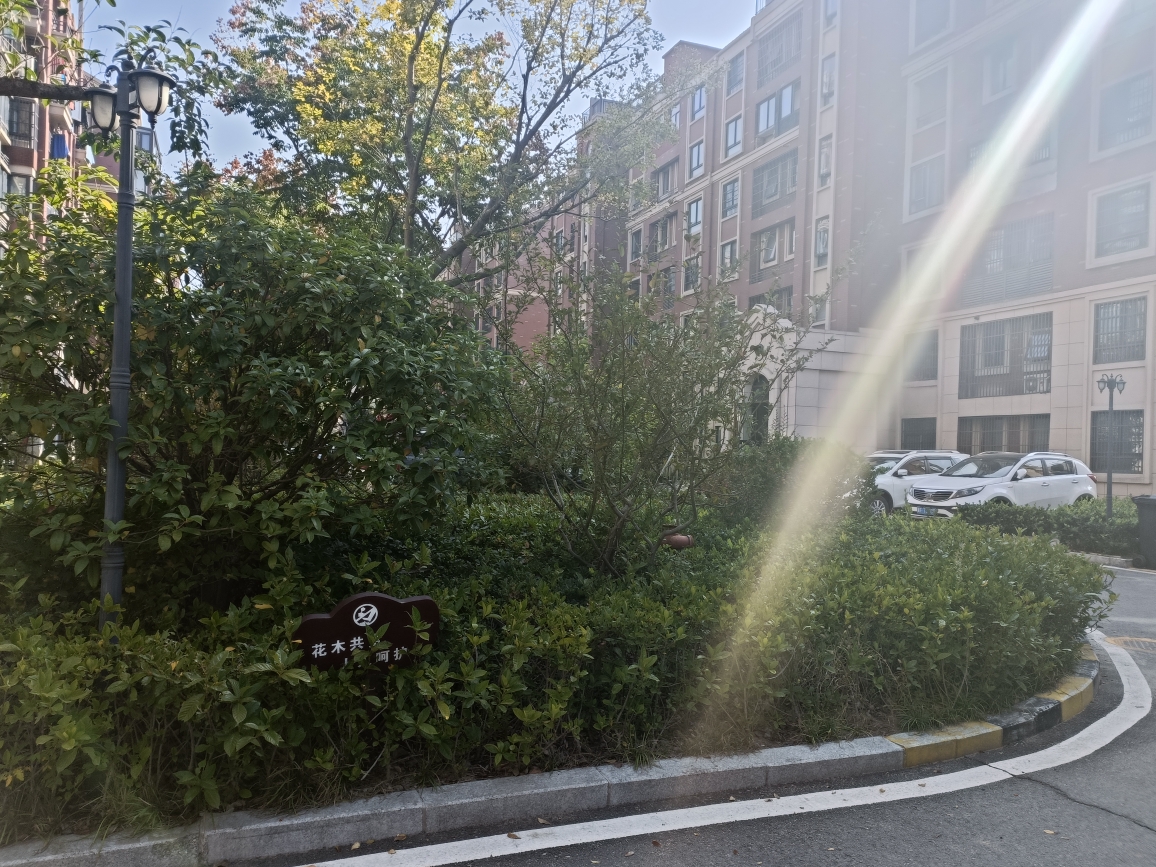 楚都一号院 洋房 三室两厅 满两年 学区房交通便利_12