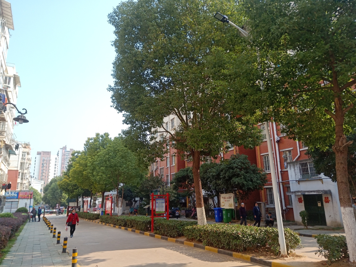 谢三村  北区  5层  2室2厅   简单装修   家电齐全   地势好    看房随时_12