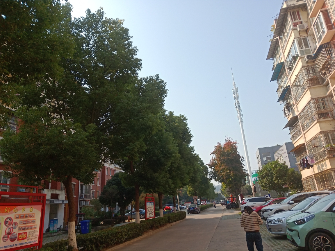 谢三村  北区  5层  2室2厅   简单装修   家电齐全   地势好    看房随时_11