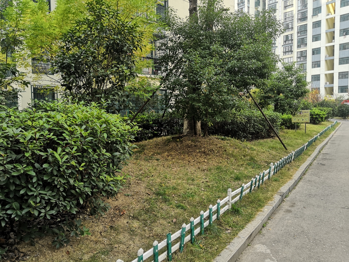 玺园3室2厅毛坯吉房出售_11