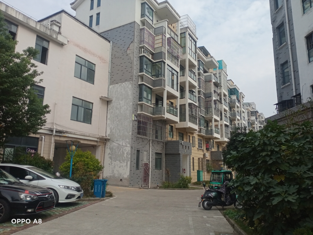 谢家新村C区毛坯有证出租交通方便看房方便_9