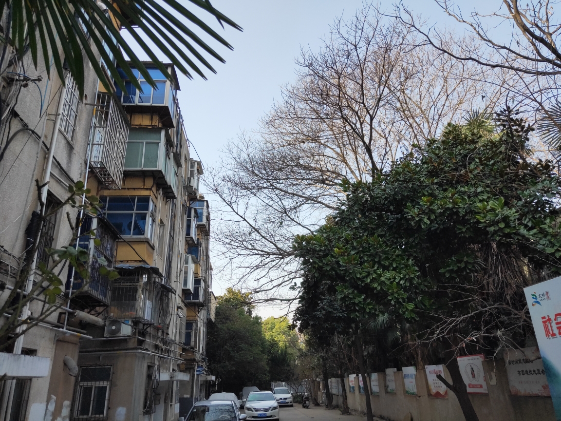 桂苑东村 62平 朝南两室一厅 满五唯一 学区房 交通便利_18