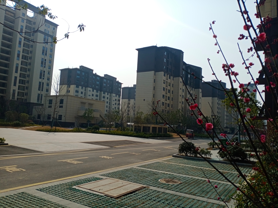 新城区一中对面循理新家园三室两厅简装出售_7