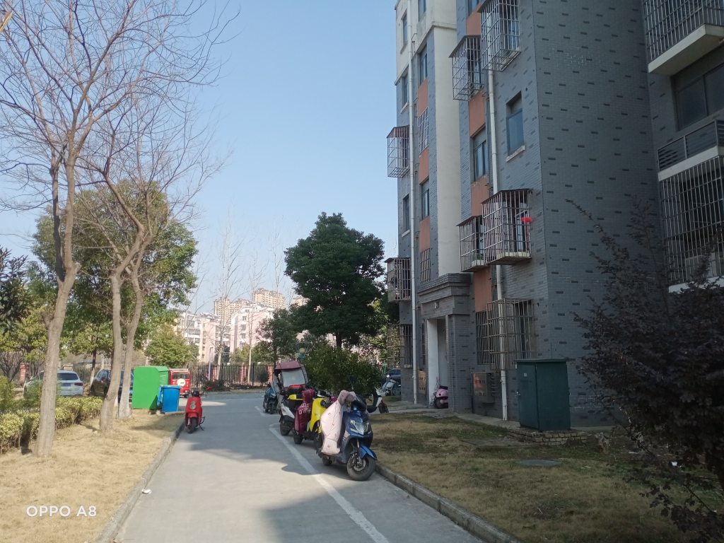 谢家集新村A区毛坯出售三室二厅学区新二小交通方便购物便捷_7